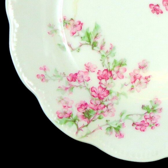 Haviland Limoges Schleiger 58A Coupe Soup Bowl 7.5" France Pink Roses - Picture 3 of 7